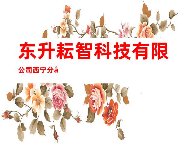 东升耘智科技有限公司西宁分公司