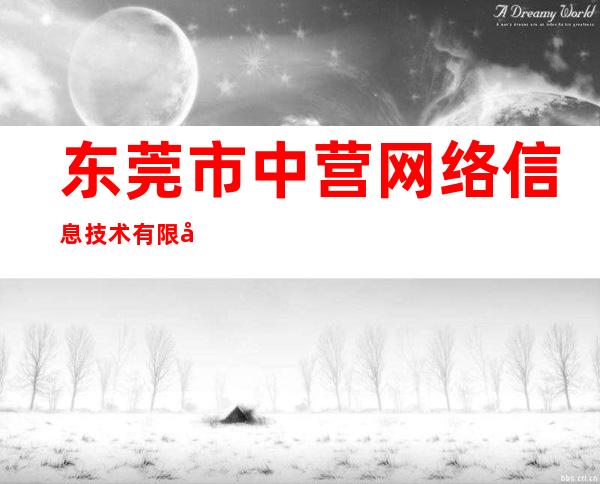 东莞市中营网络信息技术有限公司