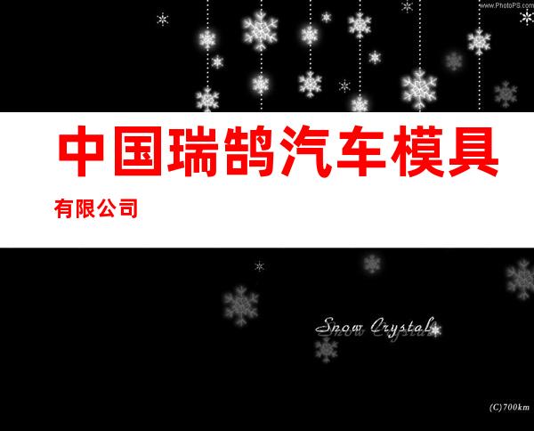 中国瑞鹄汽车模具有限公司