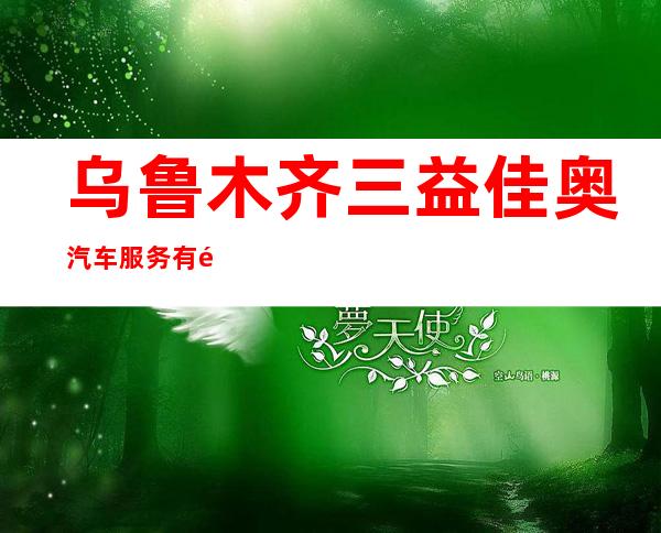 乌鲁木齐三益佳奥汽车服务有限公司