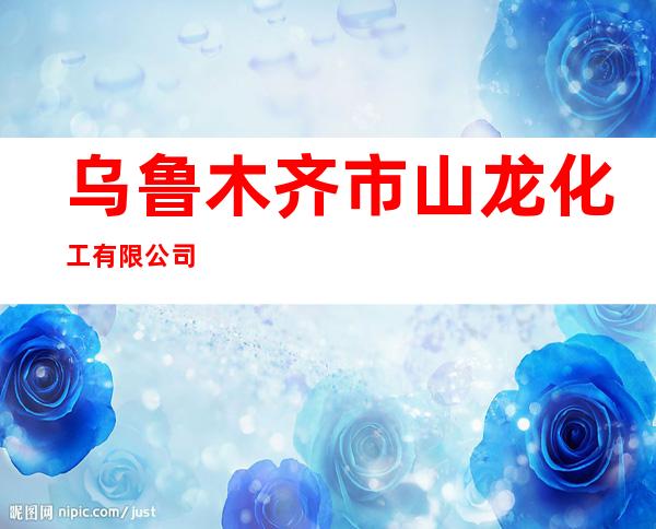 乌鲁木齐市山龙化工有限公司