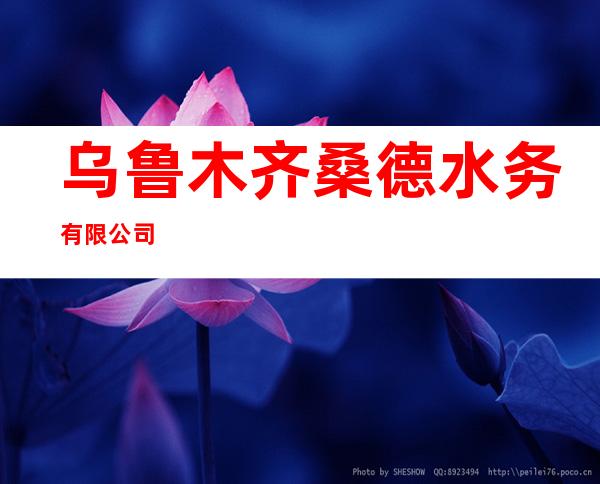 乌鲁木齐桑德水务有限公司