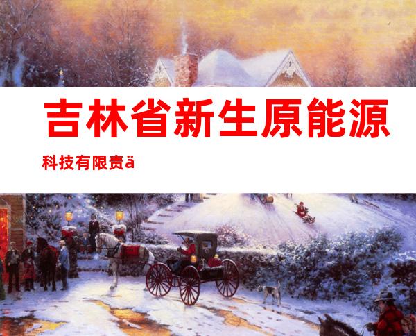 吉林省新生原能源科技有限责任公司