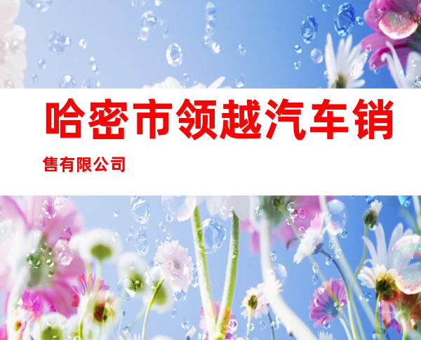 哈密市领越汽车销售有限公司