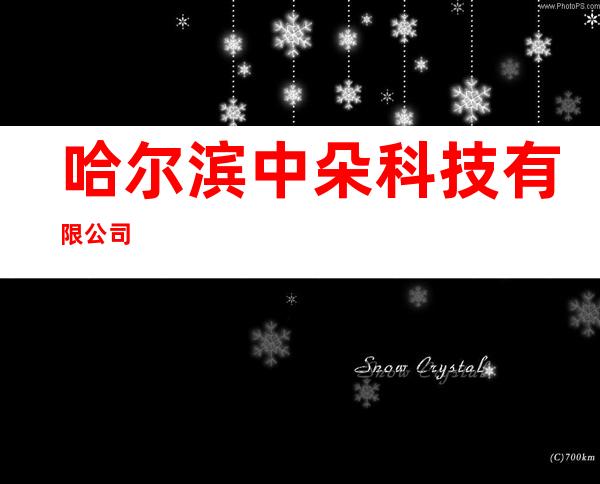 哈尔滨中朵科技有限公司