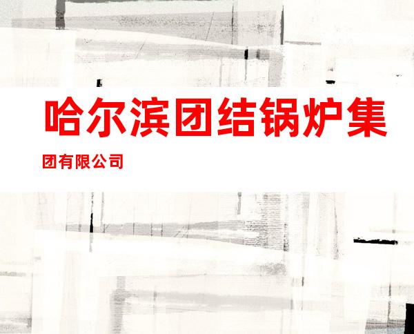 哈尔滨团结锅炉集团有限公司