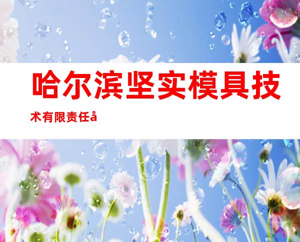 哈尔滨坚实模具技术有限责任公司