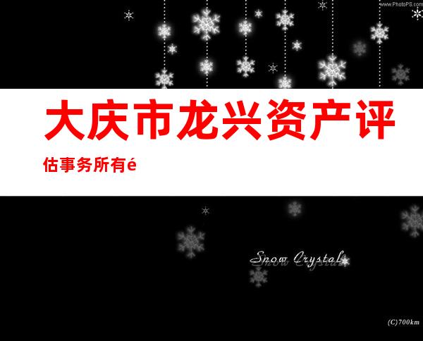 大庆市龙兴资产评估事务所有限公司