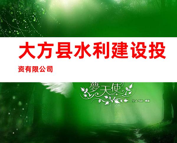 大方县水利建设投资有限公司