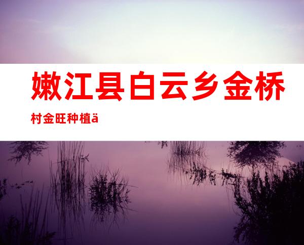 嫩江县白云乡金桥村金旺种植专业合作社