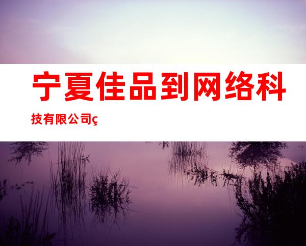 宁夏佳品到网络科技有限公司石嘴山分公司