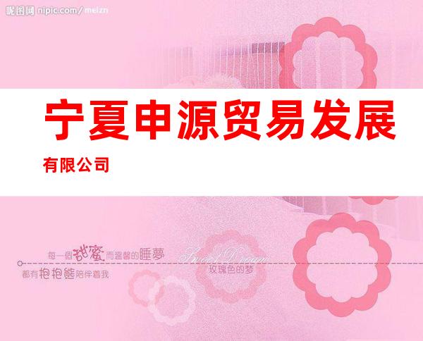 宁夏申源贸易发展有限公司