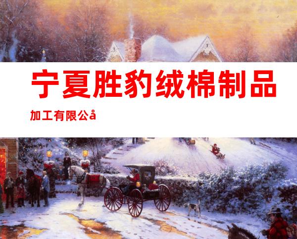 宁夏胜豹绒棉制品加工有限公司