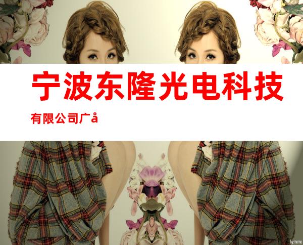 宁波东隆光电科技有限公司广州分公司