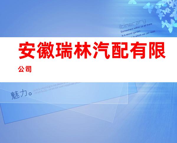 安徽瑞林汽配有限公司