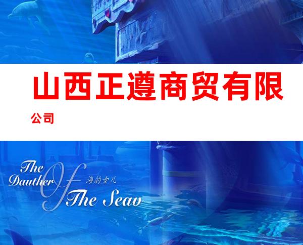 山西正遵商贸有限公司