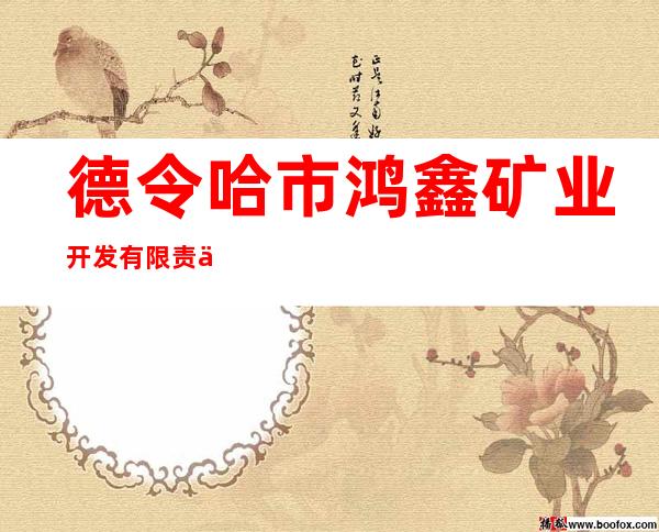 德令哈市鸿鑫矿业开发有限责任公司