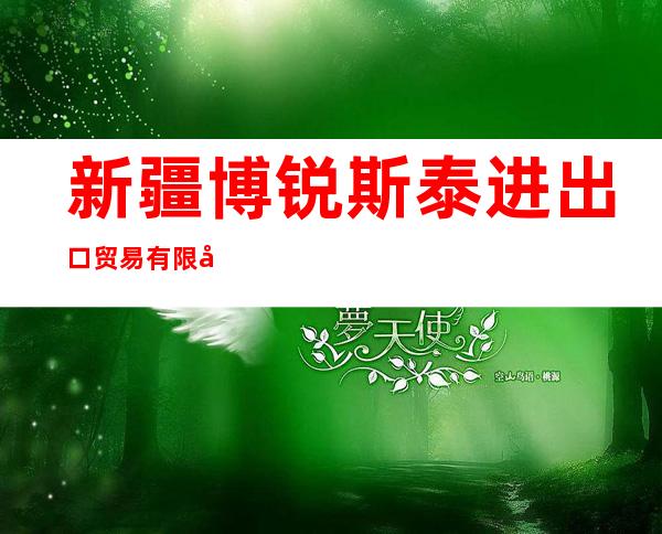 新疆博锐斯泰进出口贸易有限公司