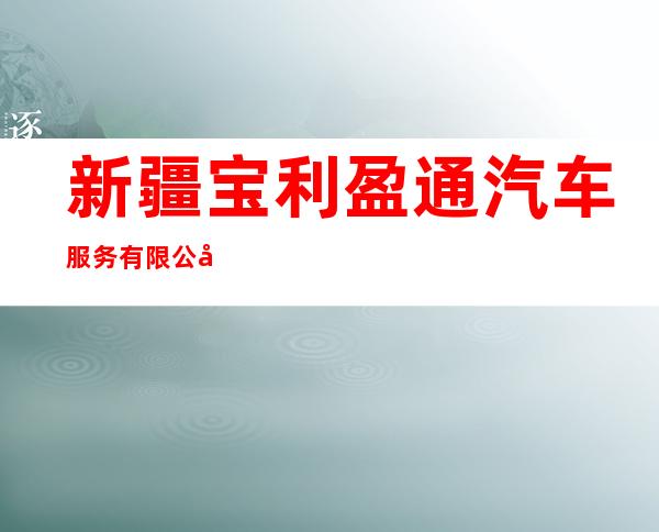 新疆宝利盈通汽车服务有限公司