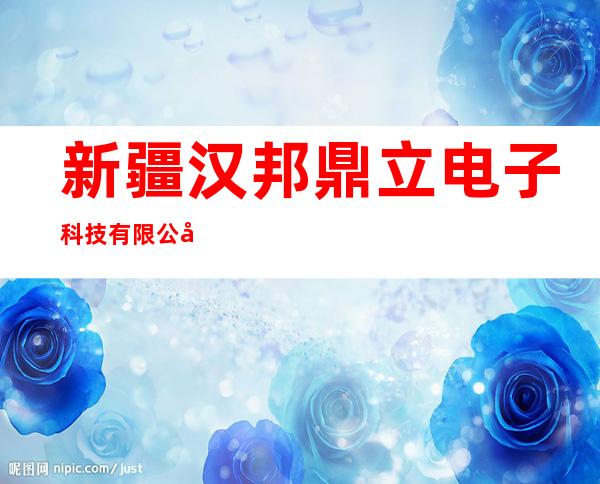 新疆汉邦鼎立电子科技有限公司