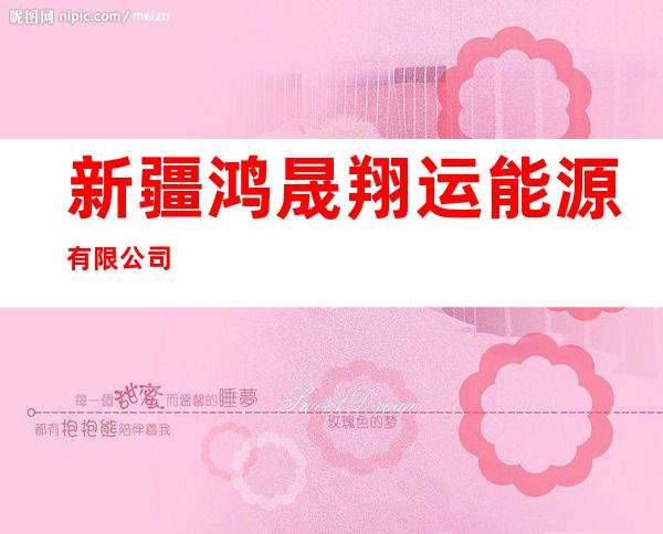 新疆鸿晟翔运能源有限公司