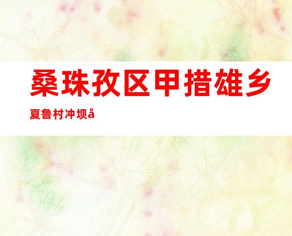 桑珠孜区甲措雄乡夏鲁村冲坝建筑队