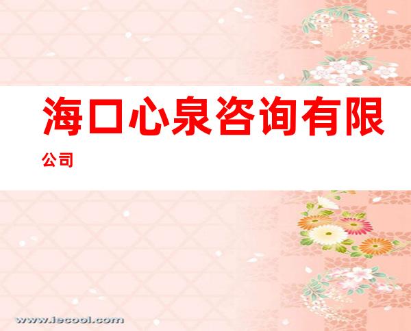 海口心泉咨询有限公司