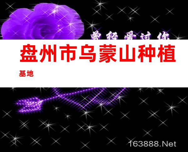 盘州市乌蒙山种植基地