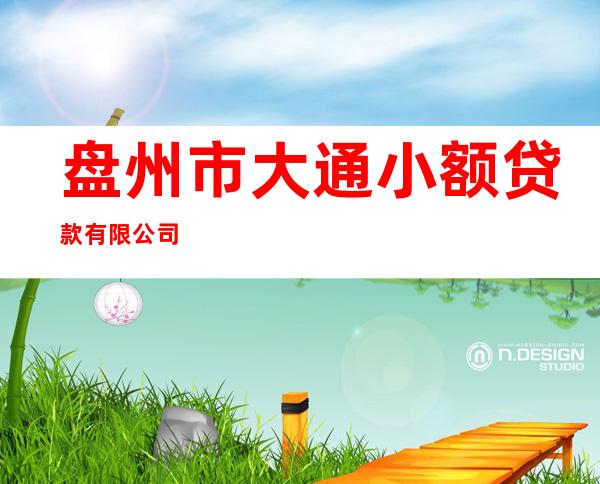盘州市大通小额贷款有限公司