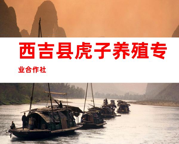 西吉县虎子养殖专业合作社