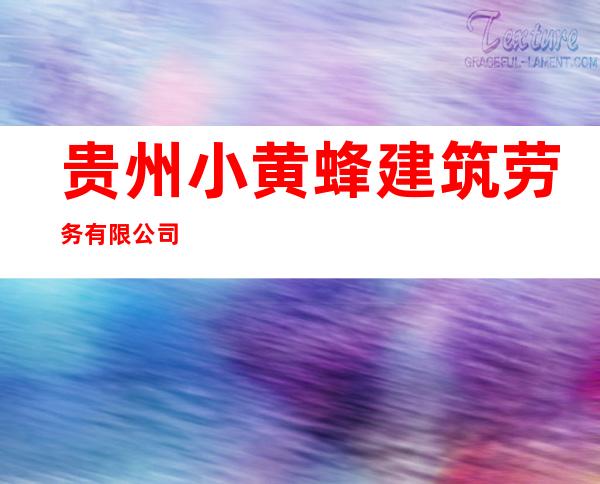 贵州小黄蜂建筑劳务有限公司