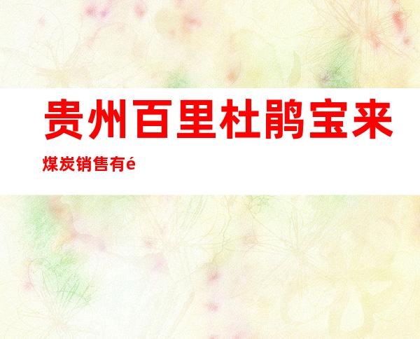 贵州百里杜鹃宝来煤炭销售有限公司
