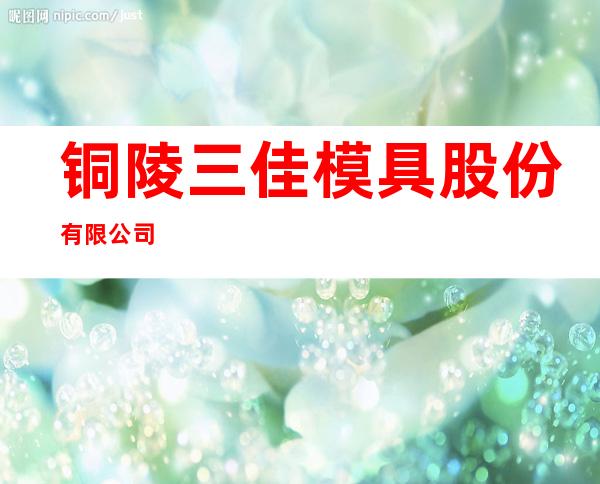 铜陵三佳模具股份有限公司