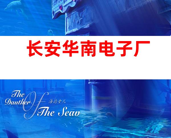 长安华南电子厂