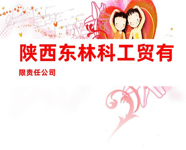 陕西东林科工贸有限责任公司