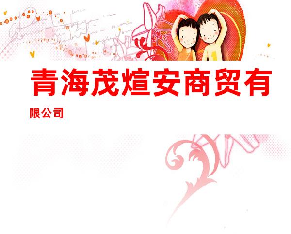 青海茂煊安商贸有限公司