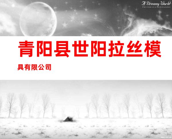 青阳县世阳拉丝模具有限公司