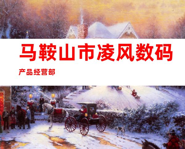 马鞍山市凌风数码产品经营部