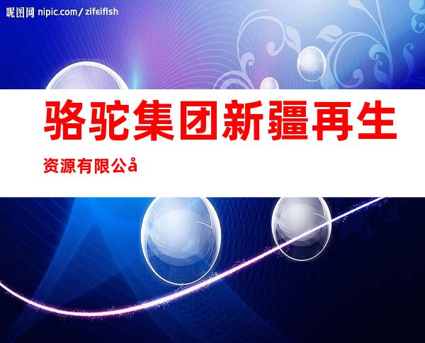 骆驼集团新疆再生资源有限公司