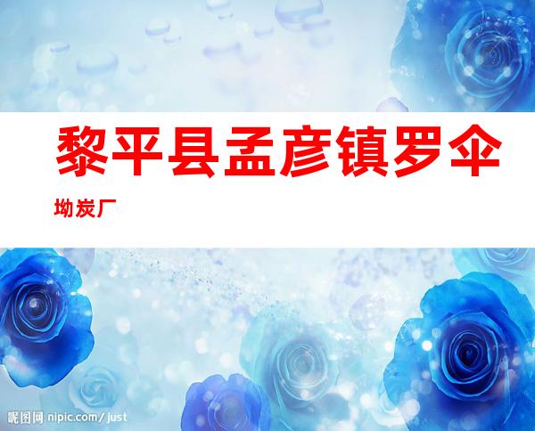 黎平县孟彦镇罗伞坳炭厂