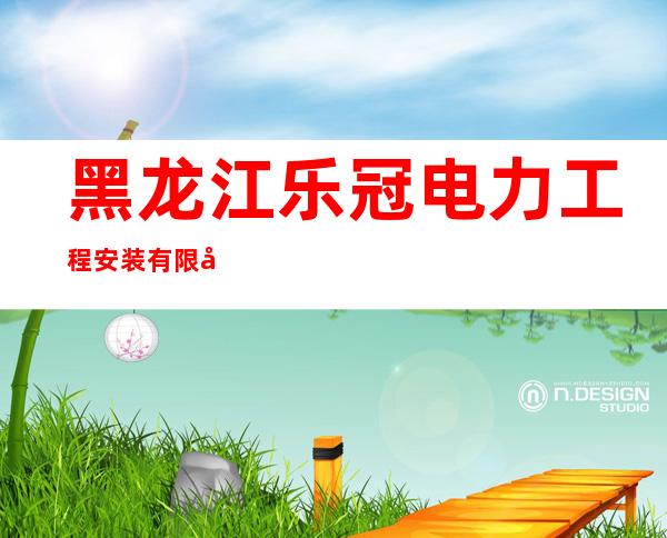 黑龙江乐冠电力工程安装有限公司