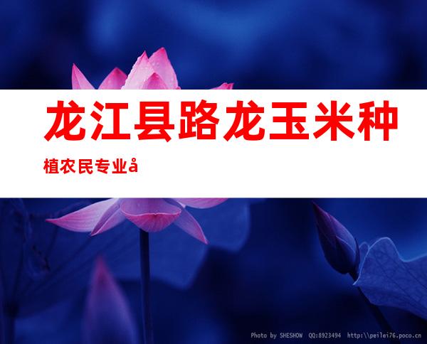 龙江县路龙玉米种植农民专业合作社